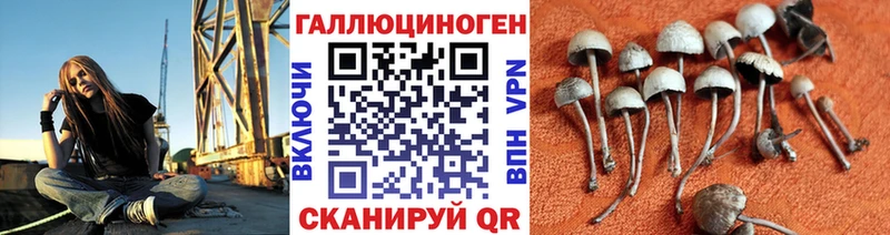 Галлюциногенные грибы мицелий  Минусинск 