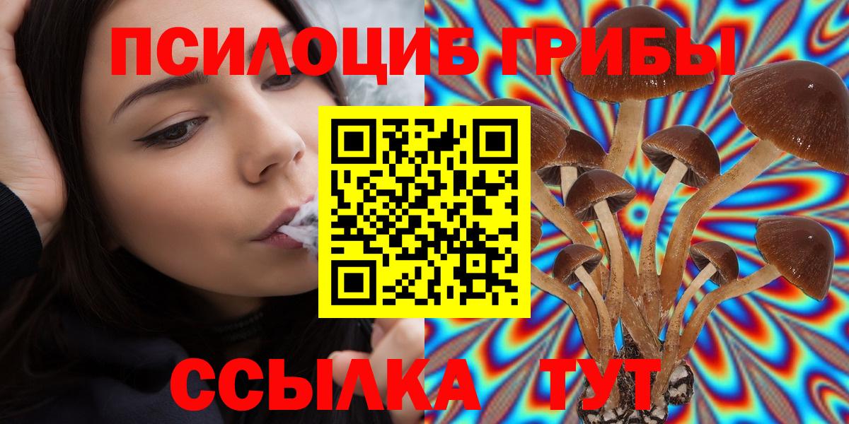 Минусинск  Псилоцибиновые грибы Cubensis  Вход с VPN  Псилоцибиновые грибы Magic Shrooms 